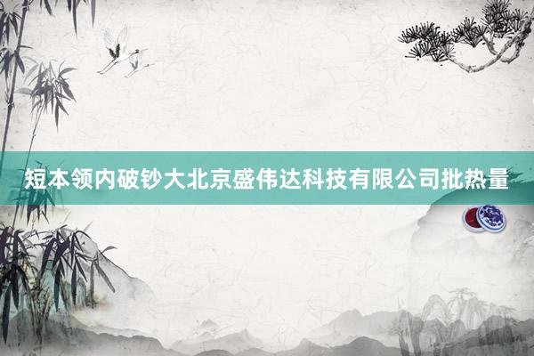 短本领内破钞大北京盛伟达科技有限公司批热量
