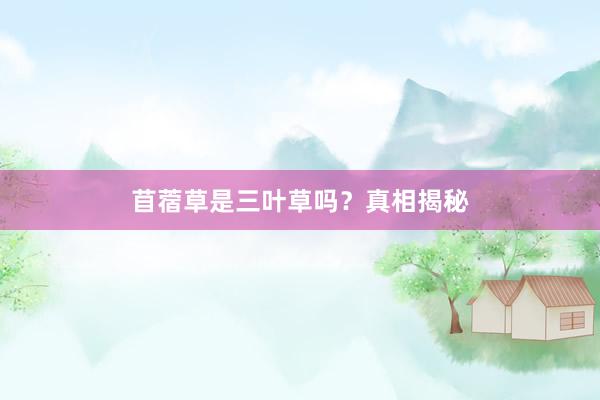 苜蓿草是三叶草吗？真相揭秘